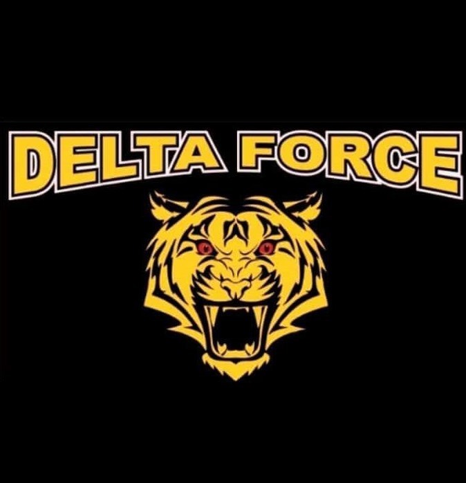 Delta Force Logo
